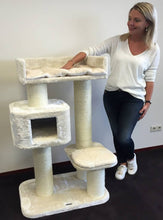 Charger l'image dans la galerie, Arbre à chat Maine Coon Devon Rex - Crème