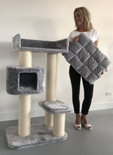 Charger l'image dans la galerie, Arbre à chat Maine Coon Devon Rex - Gris clair