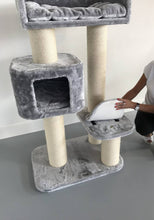 Charger l'image dans la galerie, Arbre à chat Maine Coon Devon Rex - Gris clair